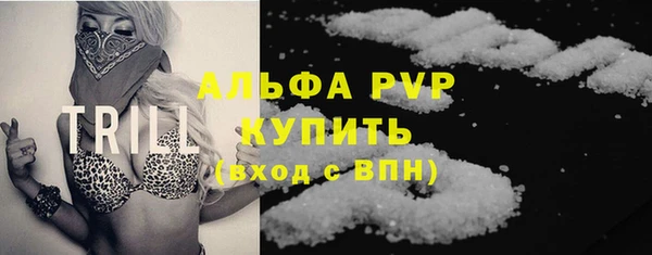 стаф Медногорск