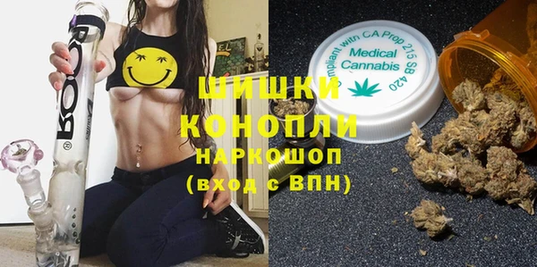 спайс Мегион