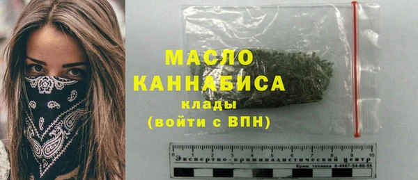 стаф Медногорск