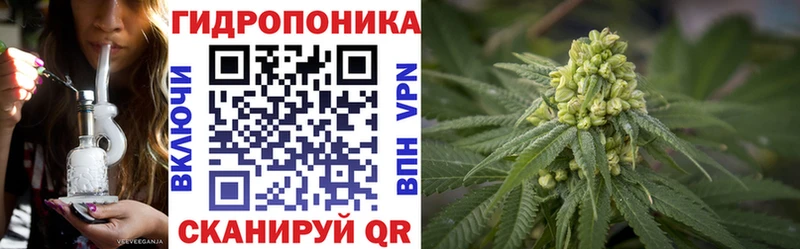 Бошки марихуана OG Kush  цена   Ильский 